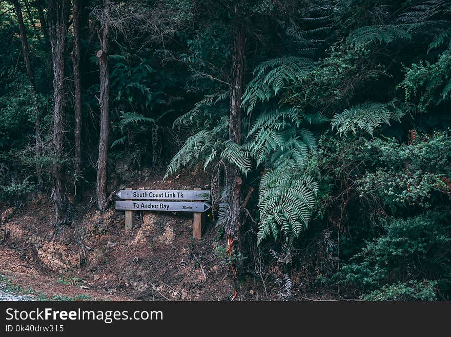 Brown Wooden Signage Near Trees at Daytime