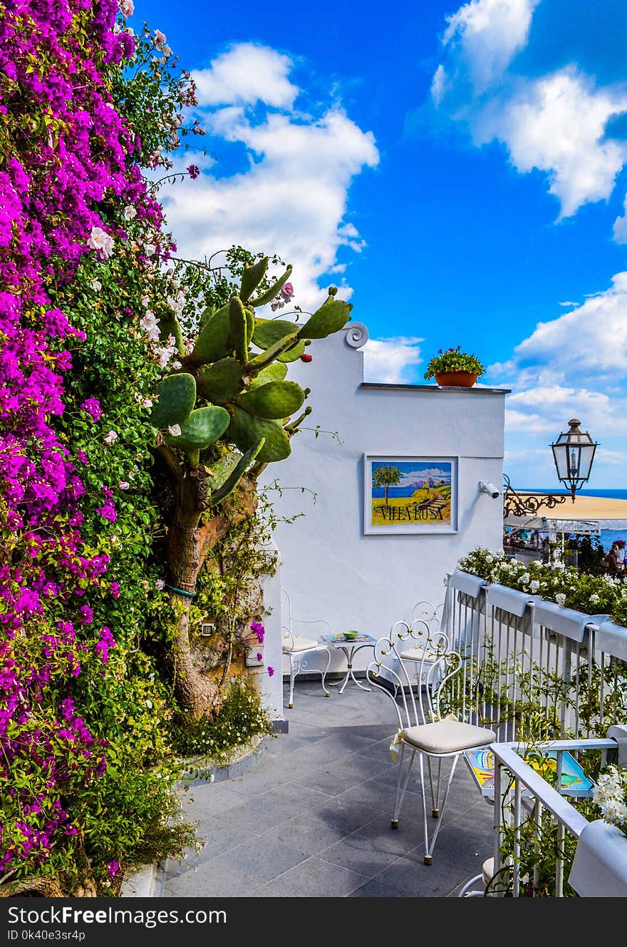 Veranda Surrounded by Green Cactus and Pink Bougainvillea