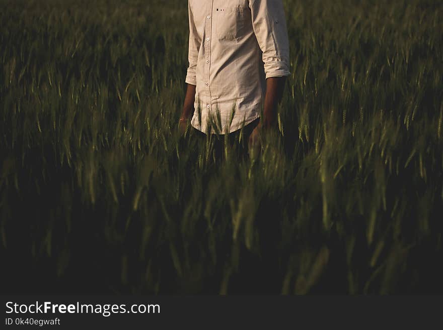 Man Surrounded Grass