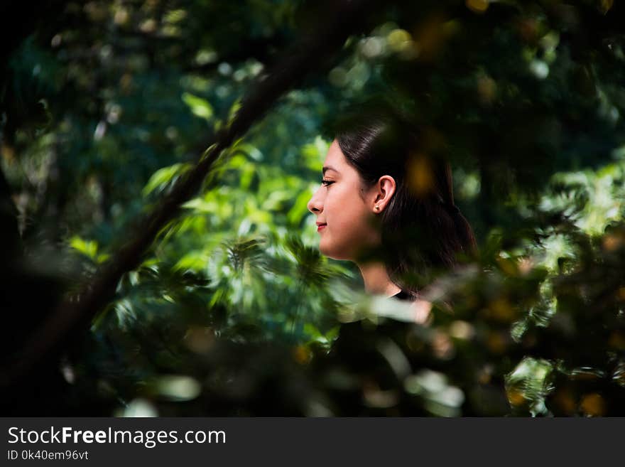 Shallow Focus Photography of Brown Haired Woman