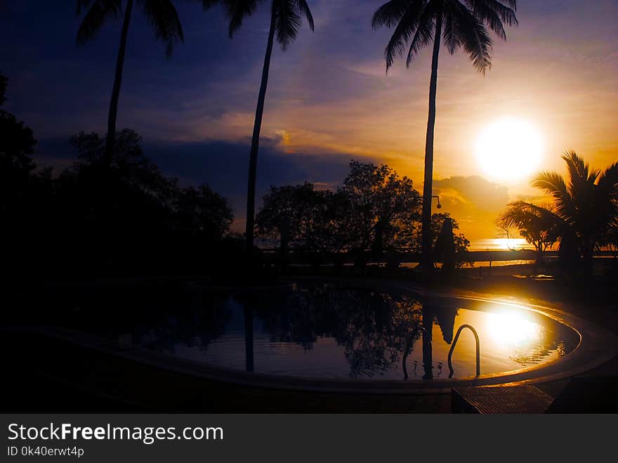 Landscape Photography of Swimming Pool during Golden Hour