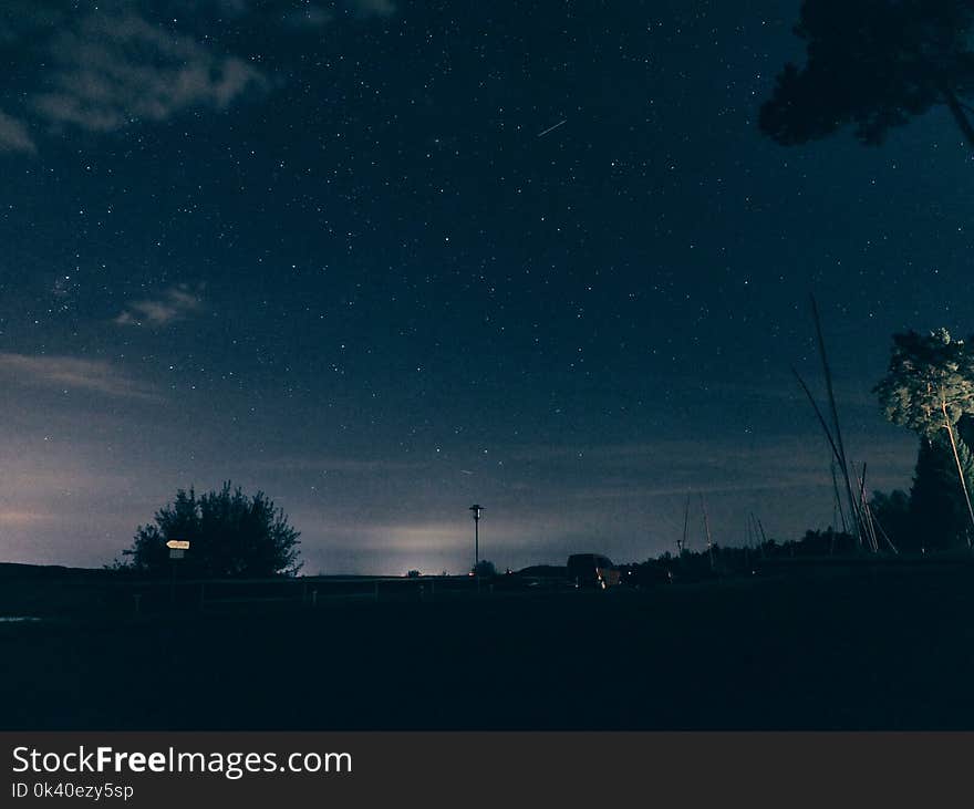 Silhouette of Trees and Buildings Under Starry Skies