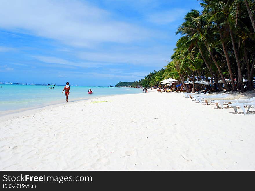 Beach Lounger on Shore With Coconut Trees