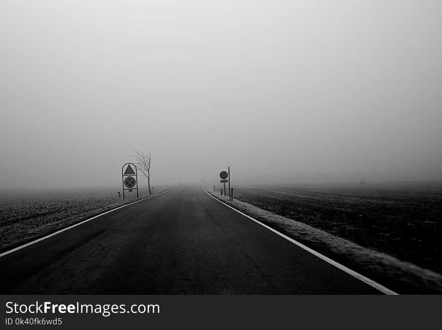 Grayscale Photography of Road