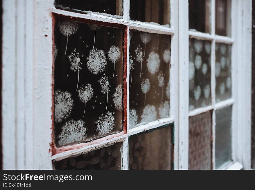 White Wooden 6-pane Window