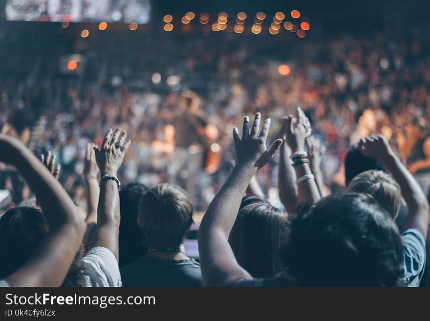 Group of People Raise Their Hands on Stadium