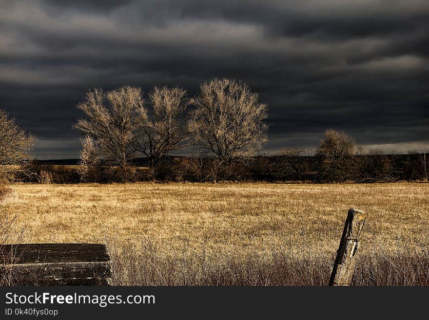 Brown Grass Field Under Black Sky during Nighttime