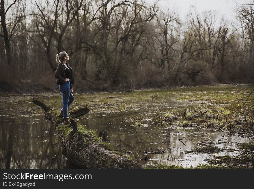 Woman Wearing Black Cardigan and Blue Pants Looking on Brown Forest