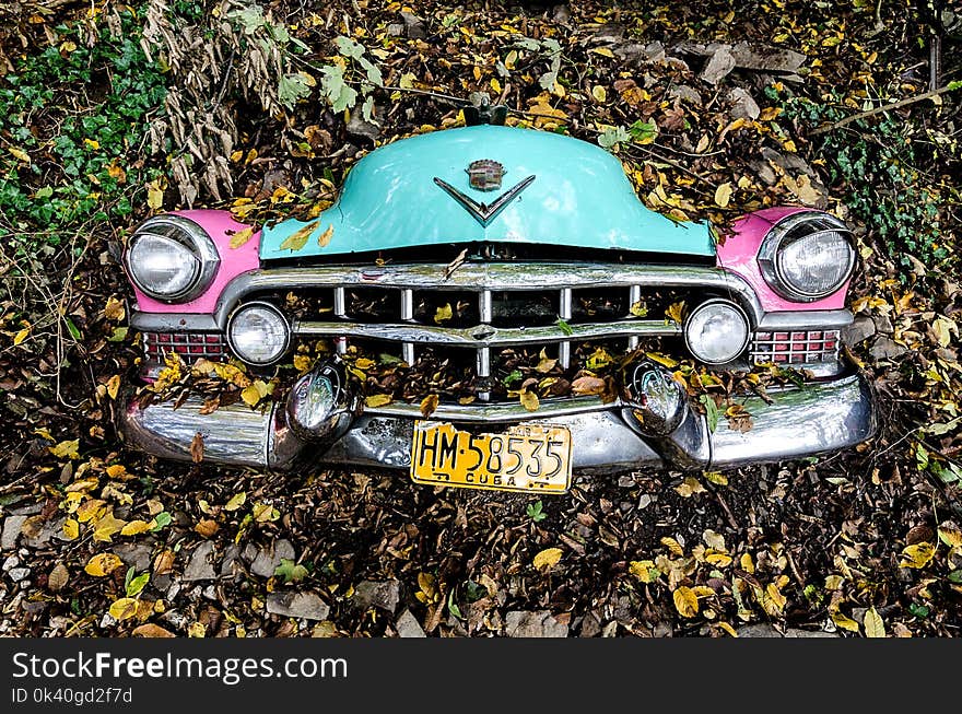 Photo of Car Covered with Leaves