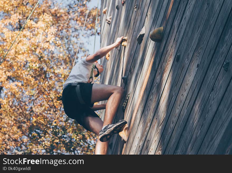 Man Wall Climbing Beside Trees