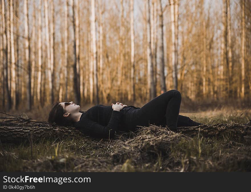 Woman Lying on the Ground Surrounded by Bare Trees