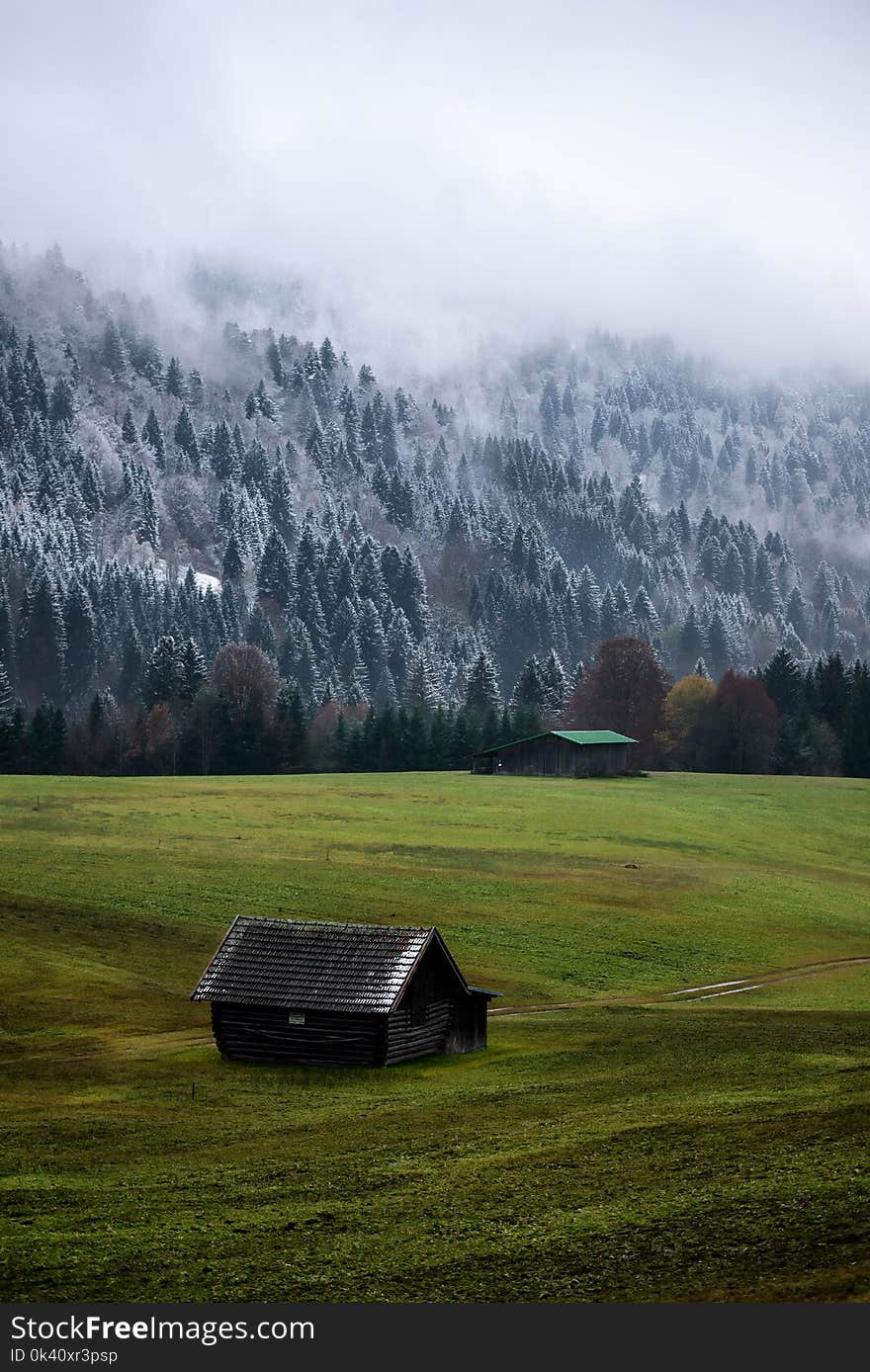 Geroldsee forest during autumn day with first snow and fog over trees, Bavarian Alps, Bavaria, Germany. Dramatic balance between forest and field. Typical autumn landscape.