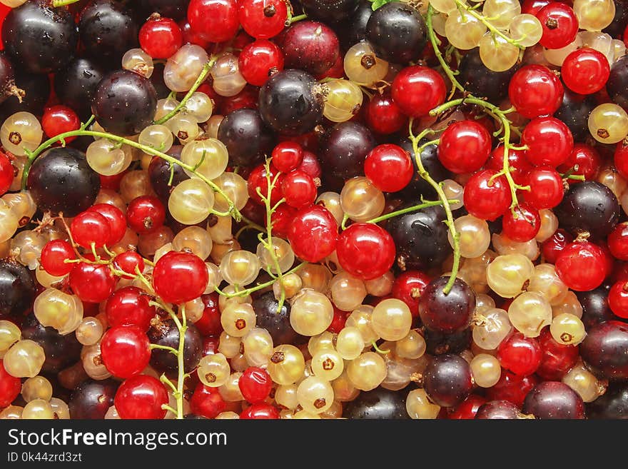 Ripe currant is scattered as a background