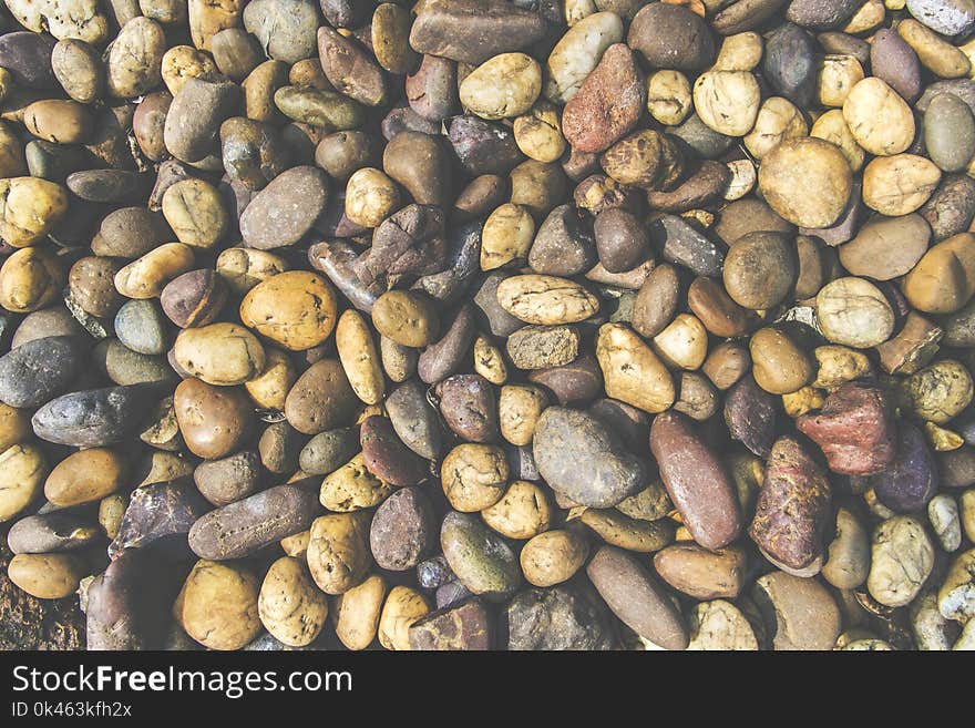 Colorful stone texture with dry leaf, soil and plant