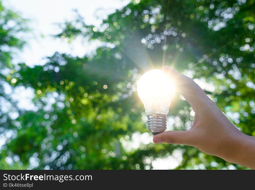 Woman hands holding light bulb with solar energy or thermal energy concept.