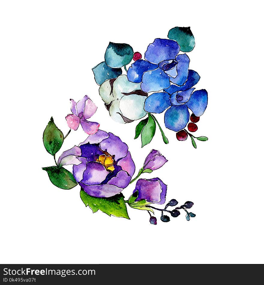 Colorful bouquet. Floral botanical flower. Wild spring leaf wildflower isolated.