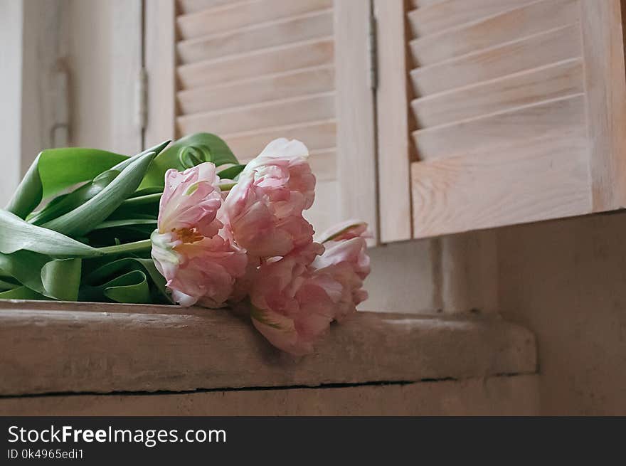 A soft focused bouquet of pink peony flowers lying on a window sill, wooden jalousie in the background, rustic style. A soft focused bouquet of pink peony flowers lying on a window sill, wooden jalousie in the background, rustic style