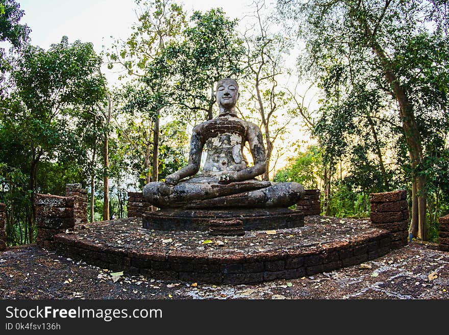 Religious Statue Surrounded by Green Trees