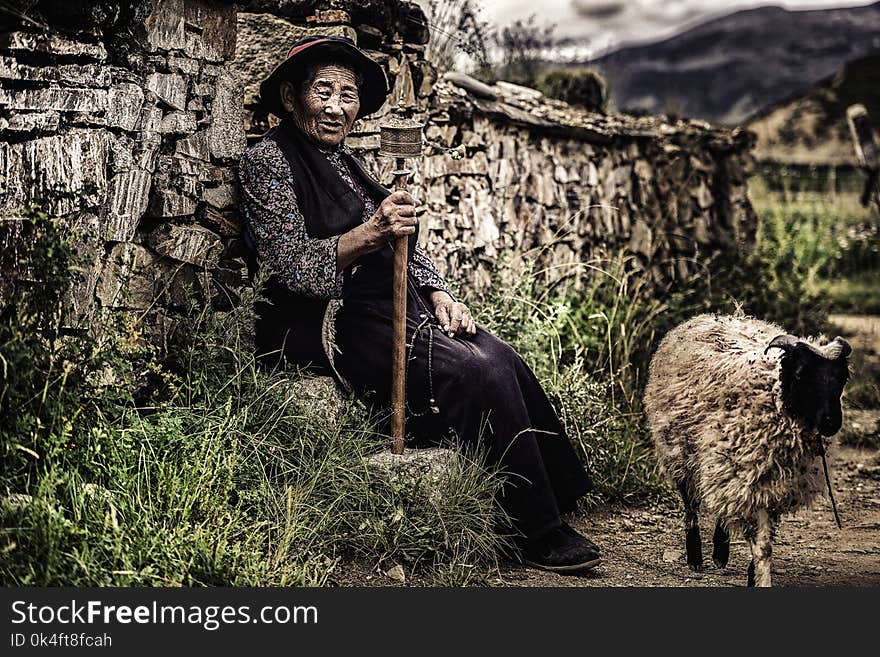 Woman Sitting on Rock Beside Wall and Near Sheep