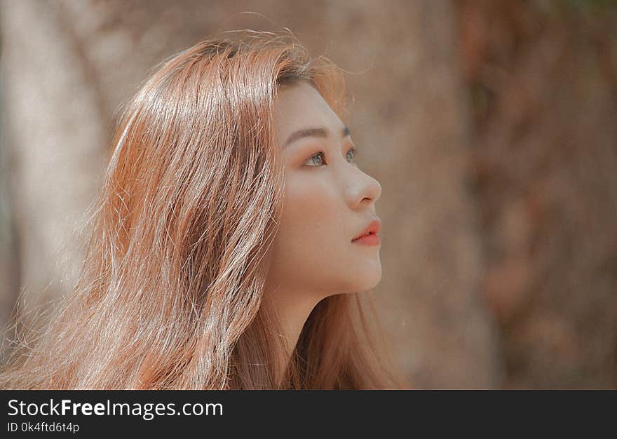 Woman With Brown Hair Looking on Her Left