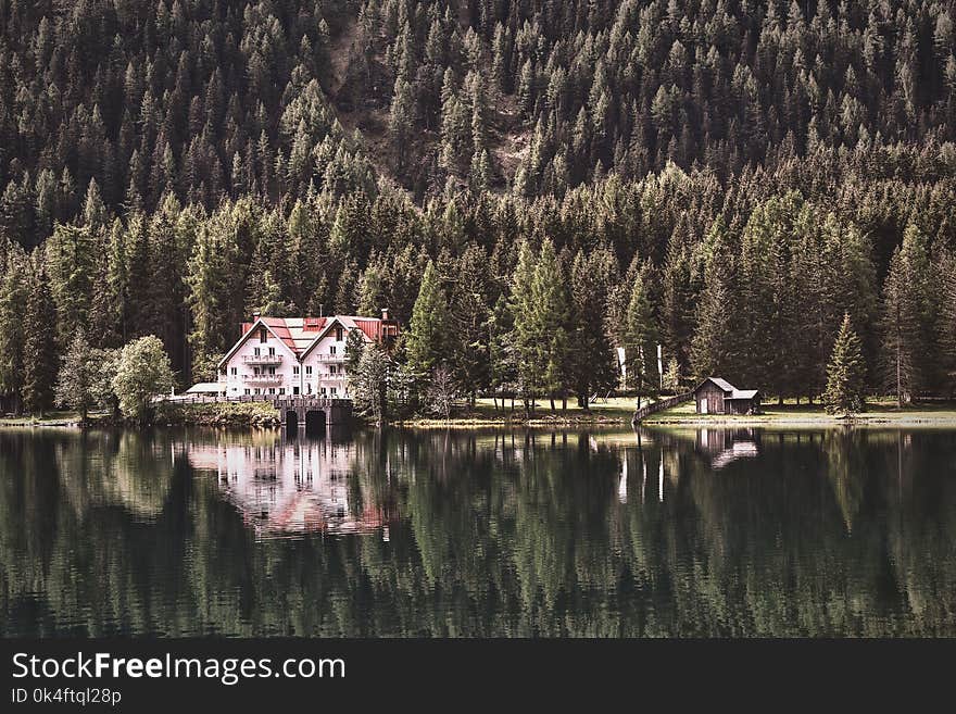 Landscape Photography of Cabin Near Forest