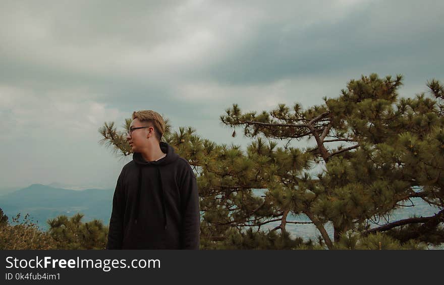 Man in Black Hoodie Standing Near Green Leaf Tree