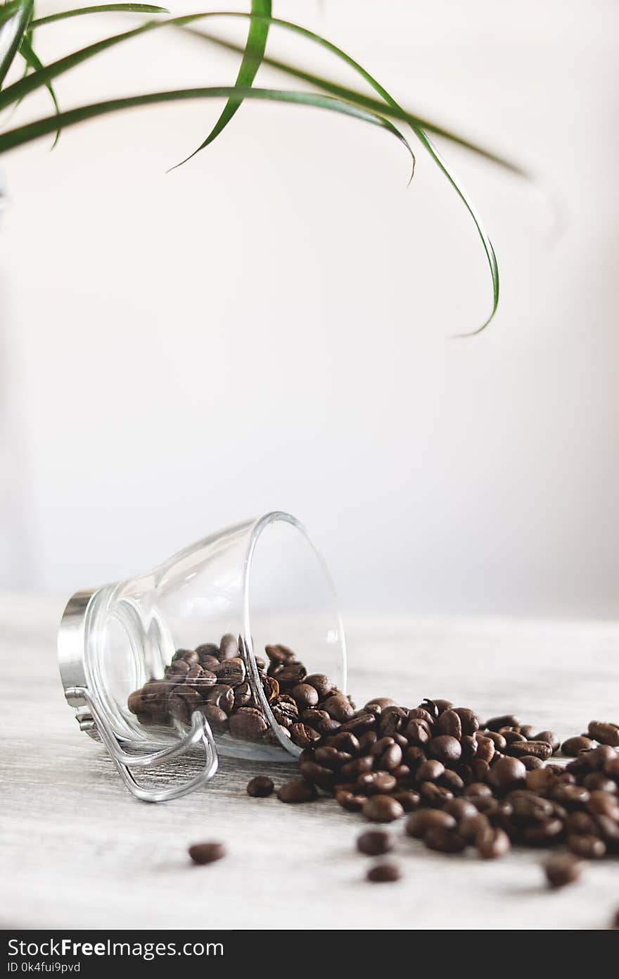 Photo of Spilled Coffee Beans