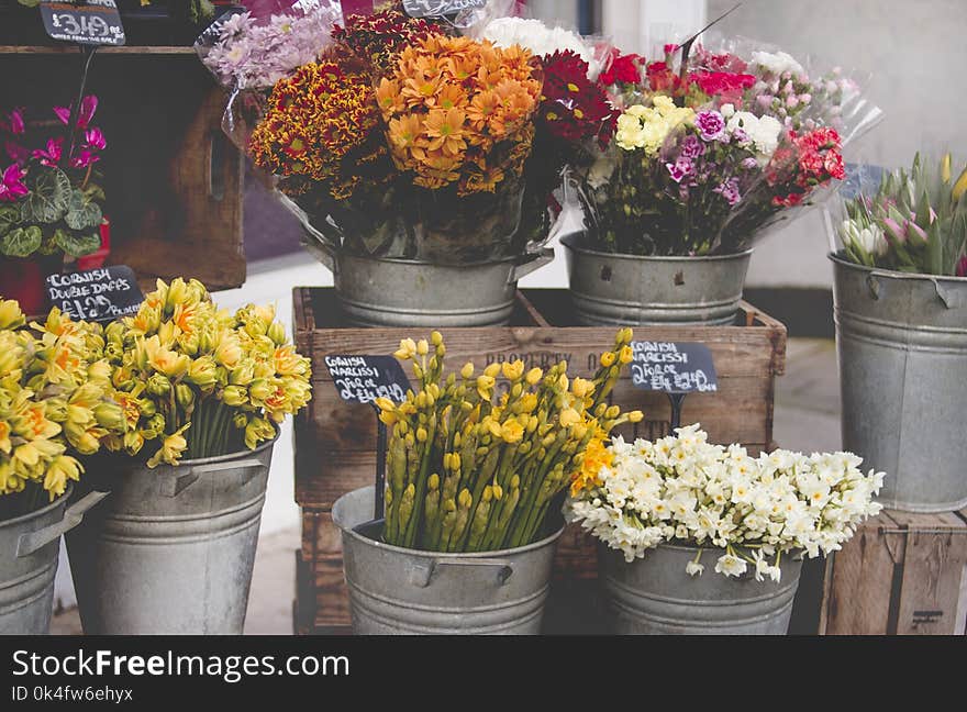 Photo of Flowers on Bucket