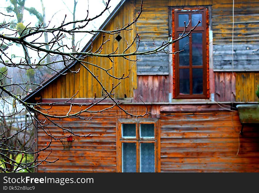 House, Wall, Architecture, Home