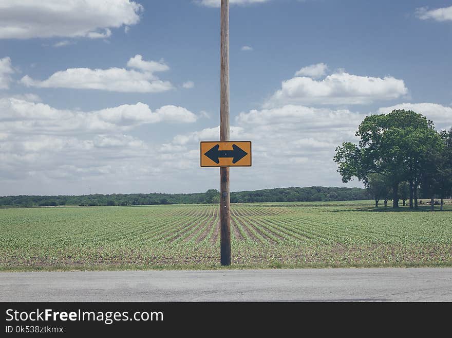 Photo of Yellow Arrow Road Signage