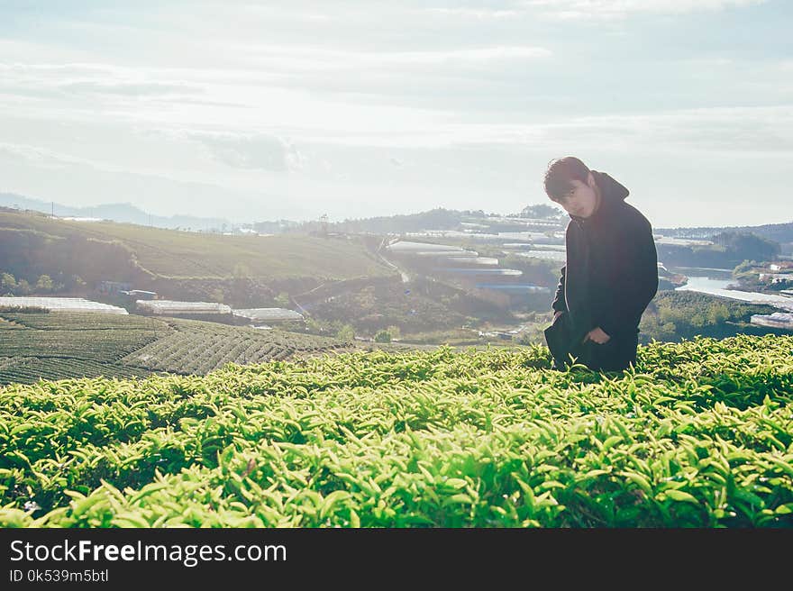 Photo of Man Near Plants