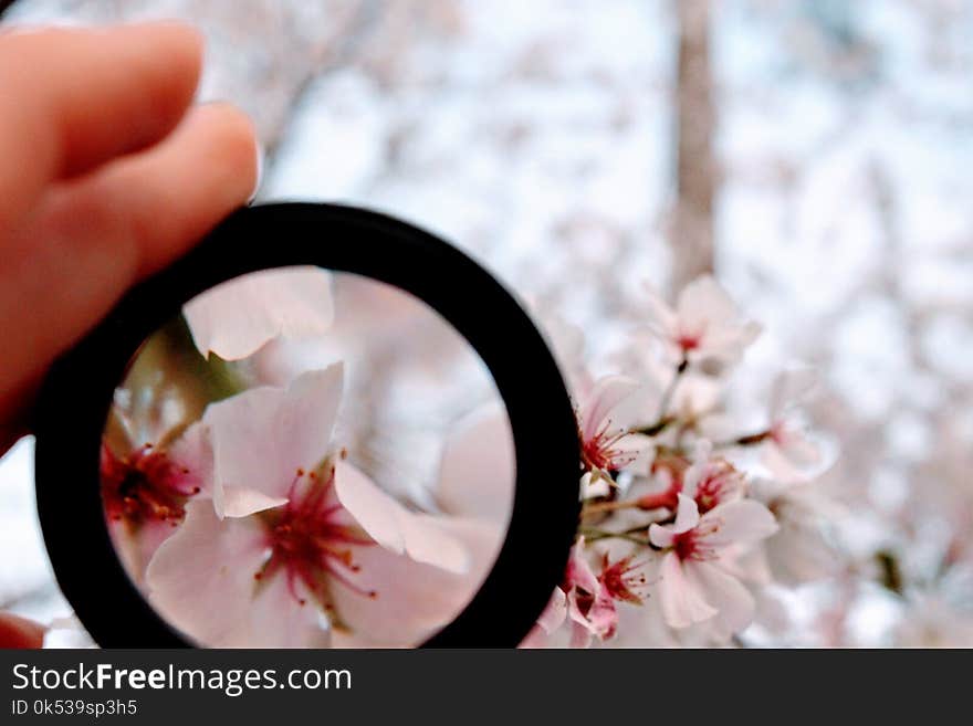 Person Holding Black Magnifying Glass