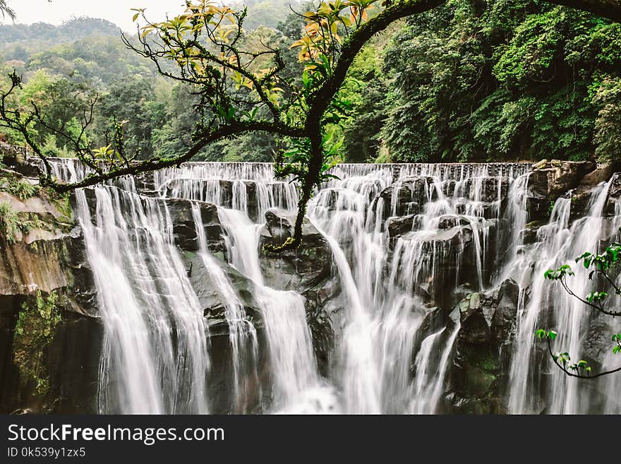 Cluster Waterfalls Surrounded With Trees