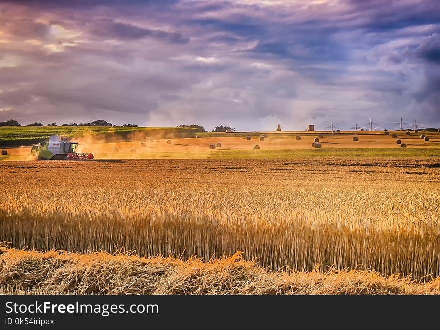 Sky, Field, Prairie, Cloud