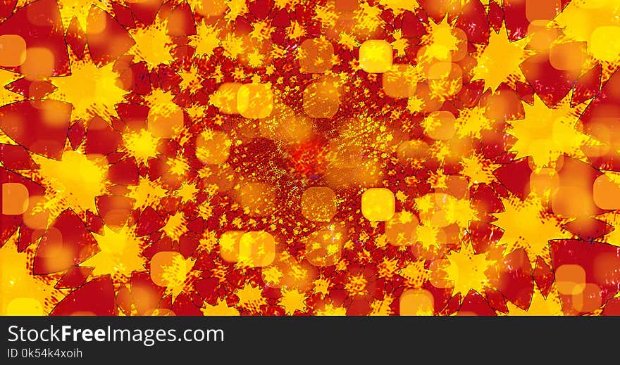 Yellow, Orange, Flower, Petal