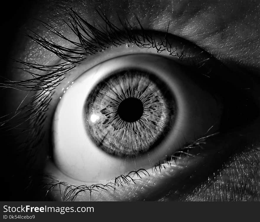 Eye, Black, Black And White, Monochrome Photography