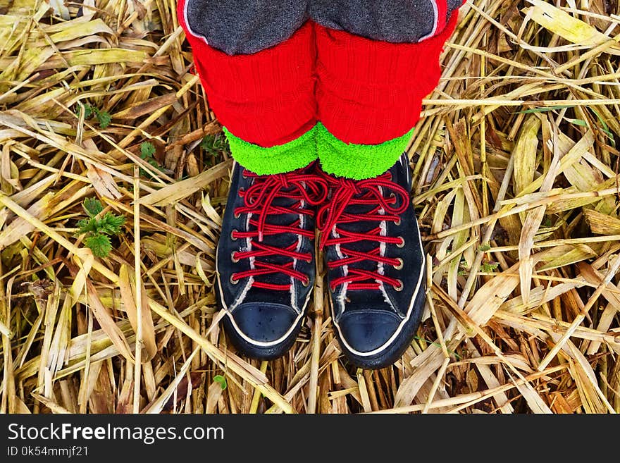 Footwear, Yellow, Shoe, Grass