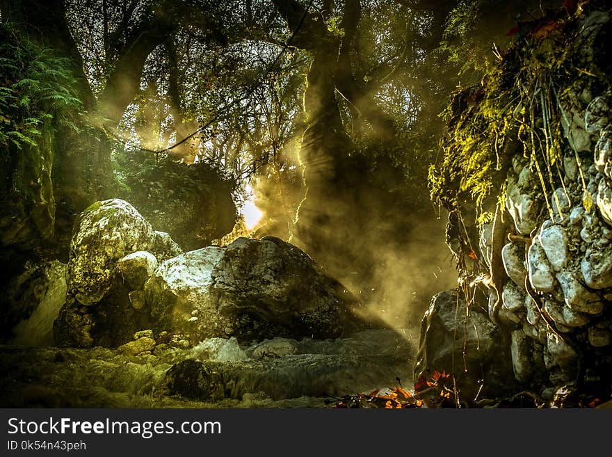 Nature, Water, Vegetation, Rock