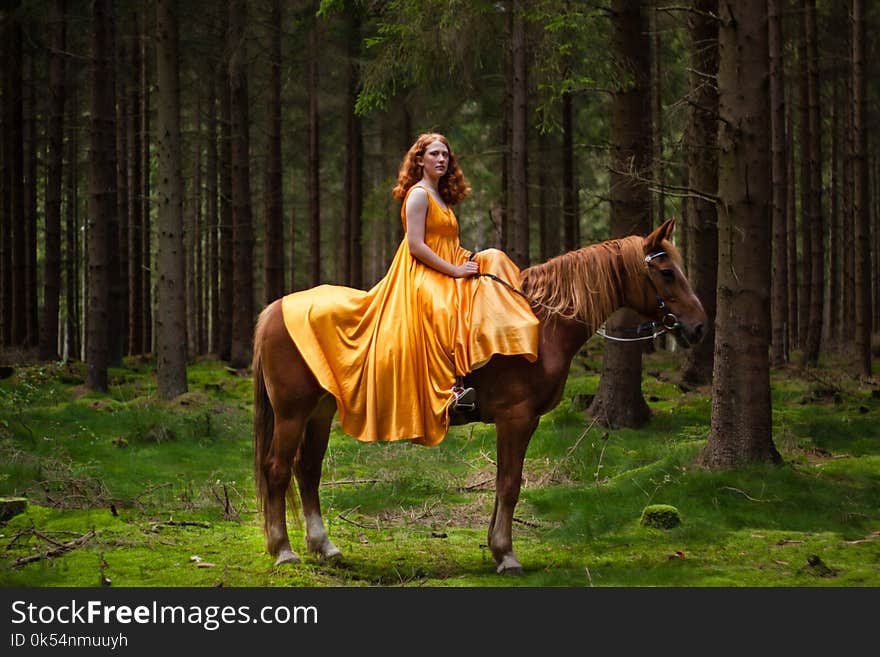 Horse, Ecosystem, Tree, Horse Like Mammal