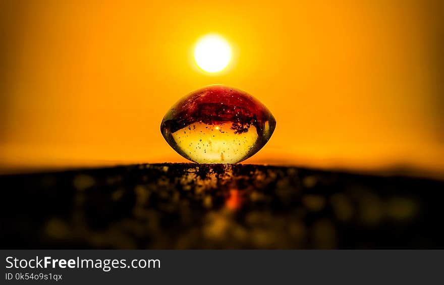 Yellow, Macro Photography, Light, Close Up