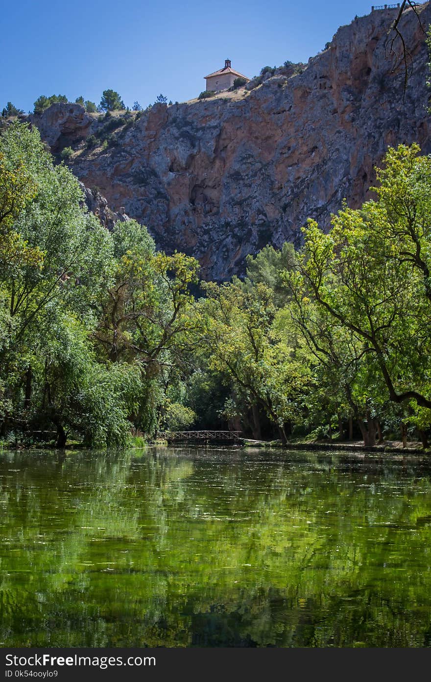 Vegetation, Reflection, Nature, Water