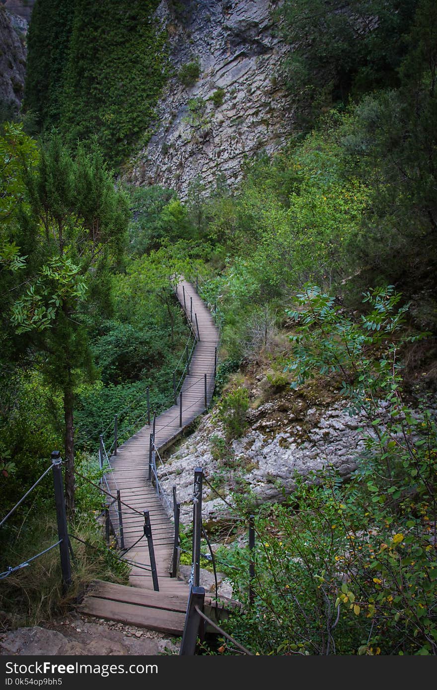 Nature, Wilderness, Vegetation, Water