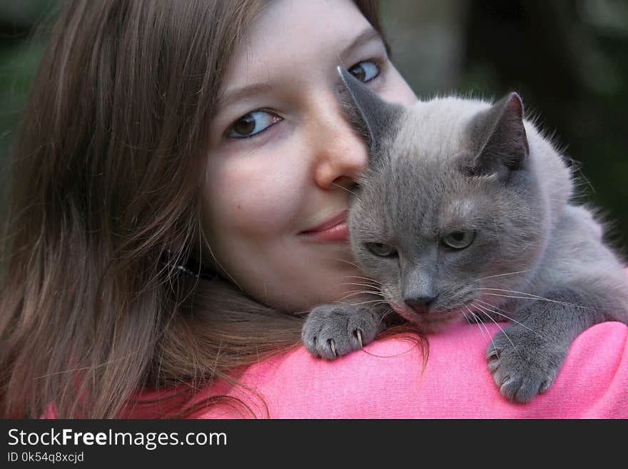 Cat, Face, Mammal, Small To Medium Sized Cats