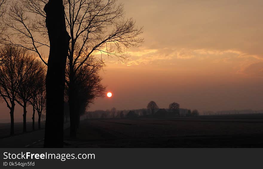 Sky, Sunrise, Dawn, Tree