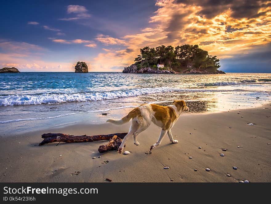 Beach, Sky, Body Of Water, Shore