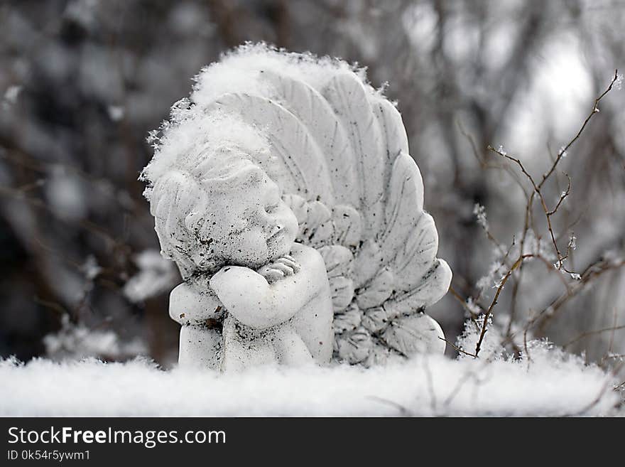 Snow, Freezing, Winter, Frost