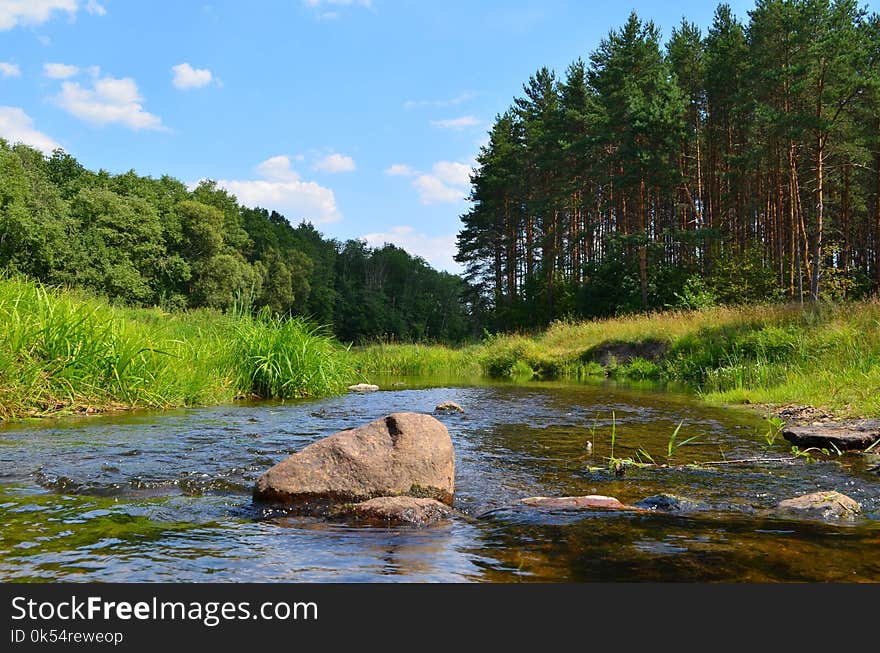 River, Water, Nature, Stream