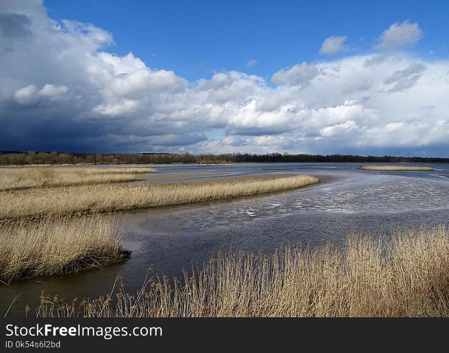 Ecosystem, Sky, Waterway, Wetland