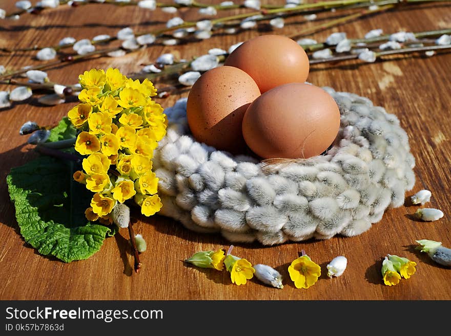 Egg, Bird Nest, Easter Egg, Grass