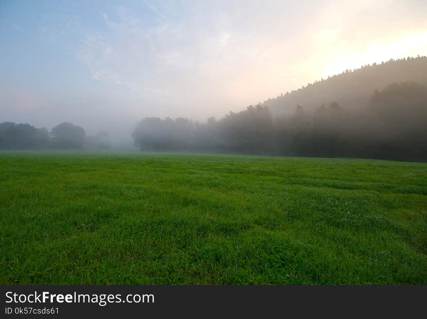 Grassland, Field, Sky, Pasture